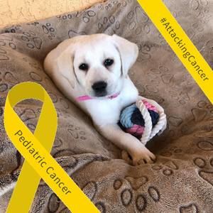 Meet your Posher, Deborah